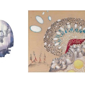 Western Carolina University   Printz and Noell